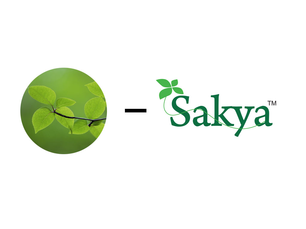 Pandalam CCNA Institute